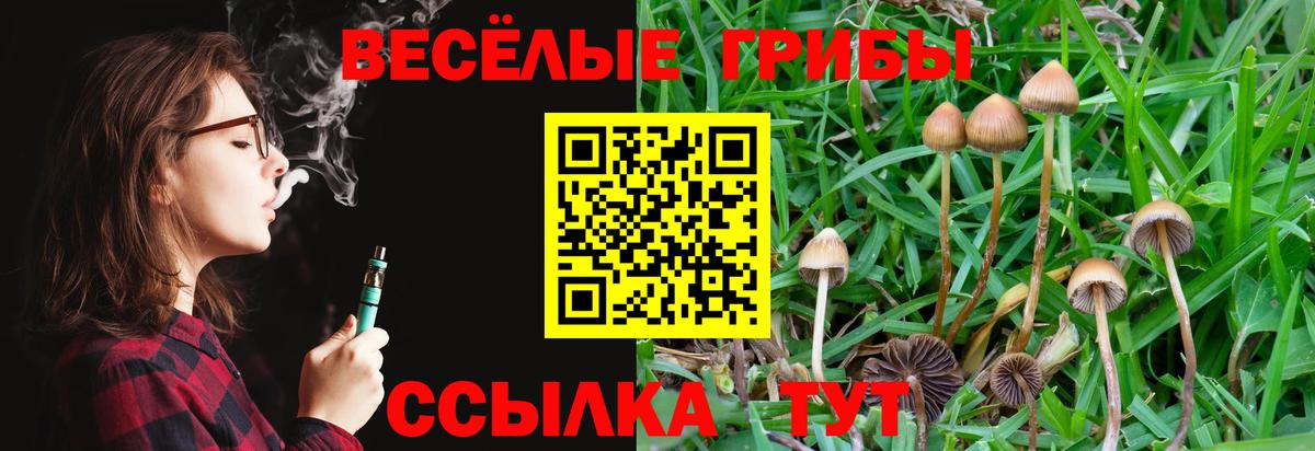 Галлюциногенные грибы прущие грибы  Вход с VPN  Среднеуральск  Галлюциногенные грибы GOLDEN TEACHER 