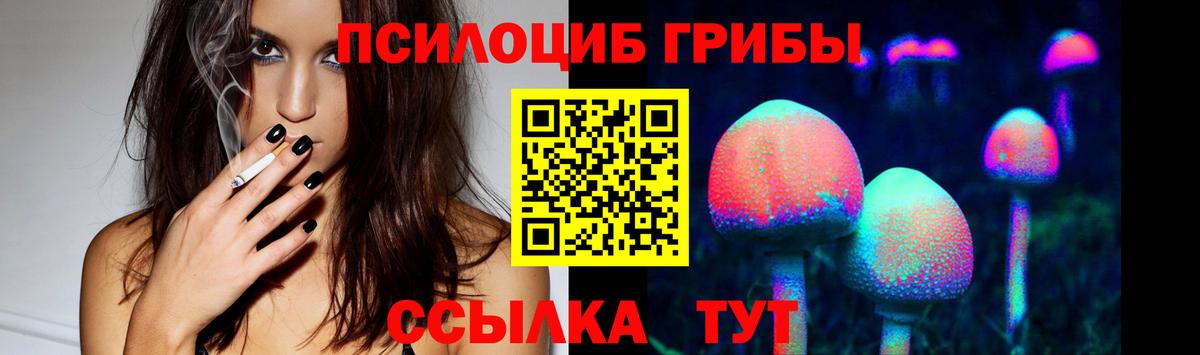 Псилоцибиновые грибы прущие грибы Среднеуральск